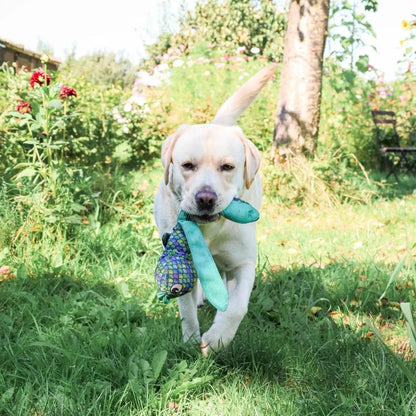 Wubba Finz - Kong - Honden speelgoed met pieper, Kong, speelgoed, stevig honden speelgoed, stevig hondenspeelgoed - By Marley