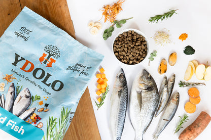 Healthy & Pure Wild Fish - Brokken - Ydolo