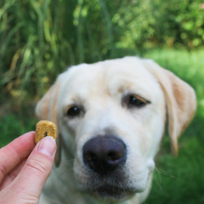 Zachte kip rondjes - beloning, by marley, Hondensnacks, Zachte beloning voor je hond - By Marley