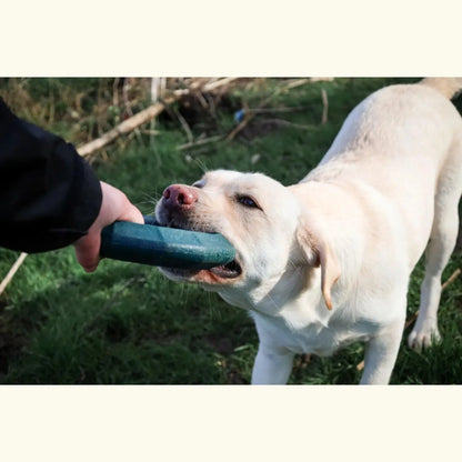 ZippyTuff+ Emerald Ring - Zippy Paws - Hondenspeelgoed geschikt voor slopers, speelgoed, sterk, Sterk speelgoed voor je hond, Stevig hondenspeelgoed, zippy paws - By Marley