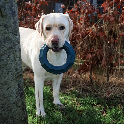 ZippyTuff+ Emerald Ring - Zippy Paws - Hondenspeelgoed geschikt voor slopers, speelgoed, sterk, Sterk speelgoed voor je hond, Stevig hondenspeelgoed, zippy paws - By Marley