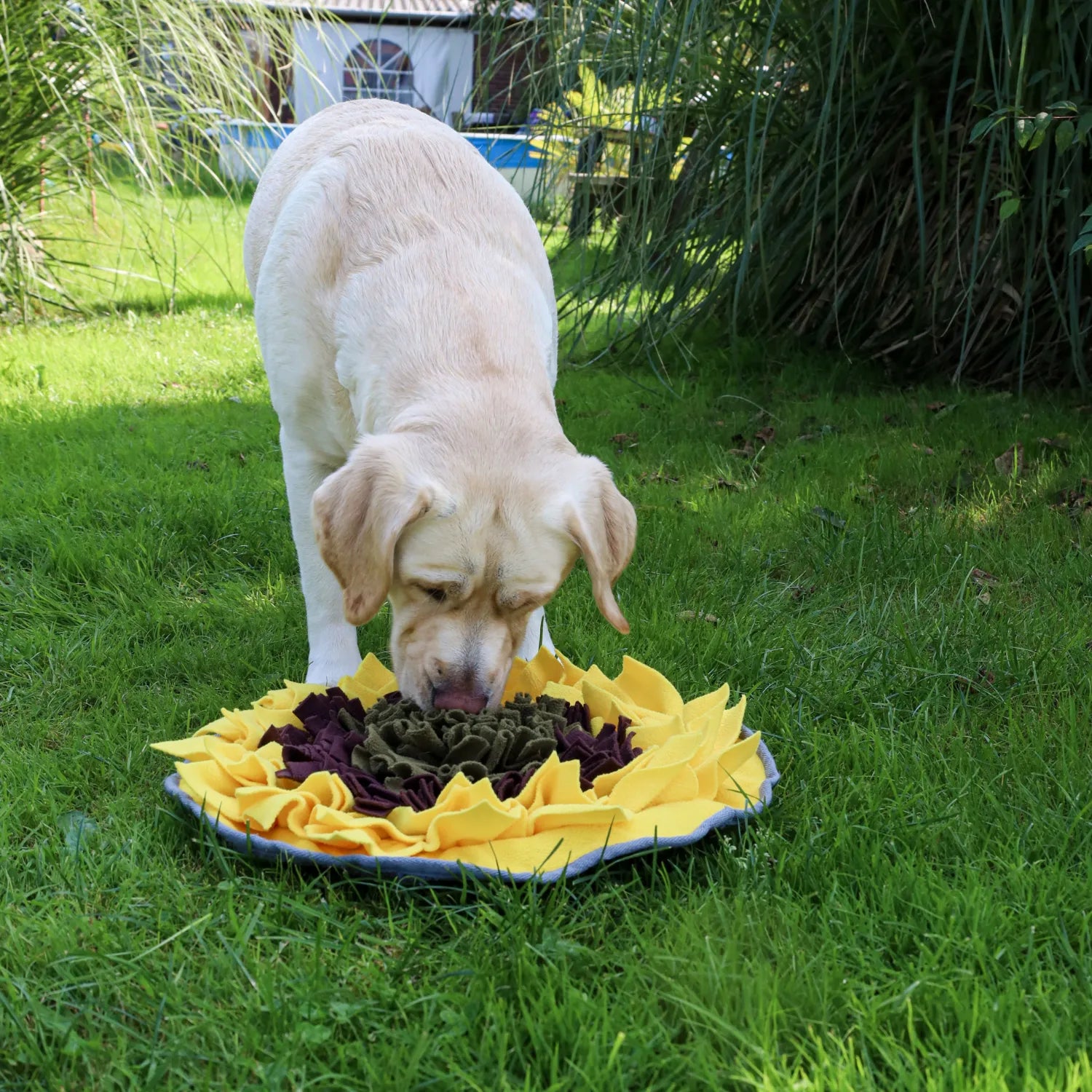 Zonnebloem snuffelmat - interactief, Interactief honden speelgoed, Mentale stimulatie voor je hond, sale, Snuffel speelgoed voor honden, snuffelen, Snuffelmat voor honden, Snuffelmat voor puppy's - By Marley